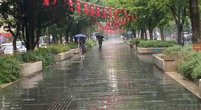 Kocaelide dolu ve sağanak etkili oldu: Çok felaket