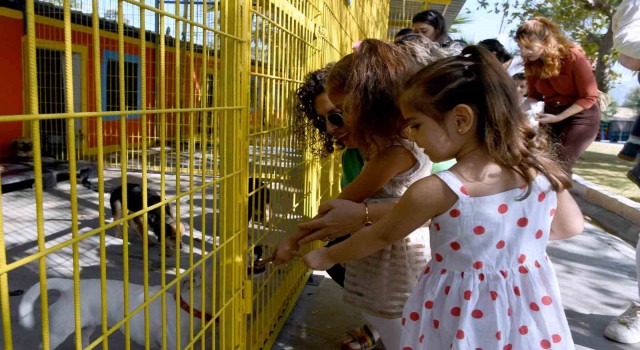 Kuşadasında patili can dostlar artık hafta sonları da ziyaret edilebilecek