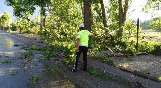 Malatyada 15 dakikalık fırtına ağaçları devirdi