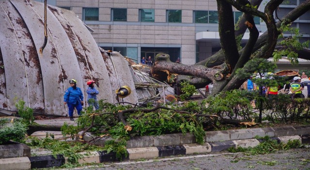 Malezyada ağaç devrildi: 1 kişi öldü, 17 araçta hasar oluştu