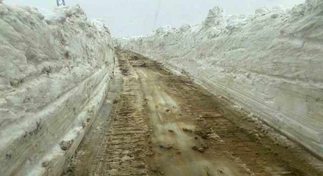 Mayıs ayında 5 metreyi bulan karda yol açma çalışması sürüyor