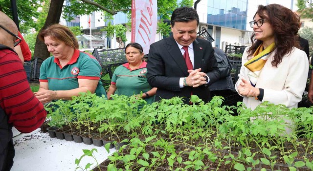 Menteşede ata tohumdan üretilen 20 bin fidan ücretsiz dağıtıldı