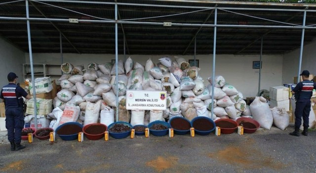 Mersinde 10 ton kaçak tütün ele geçirildi