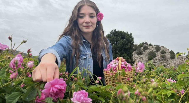 Burdur Gölü kenarında Mis kokulu bahçelerle çevrili “Gül Yolu” açıldı