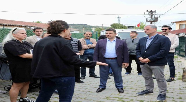Mudanyada sokak hayvanları için rehabilitasyon merkezi kuruluyor