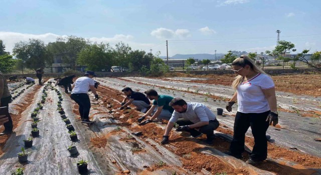 MYOda tıbbi ve aromatik bitki bahçesi kuruldu
