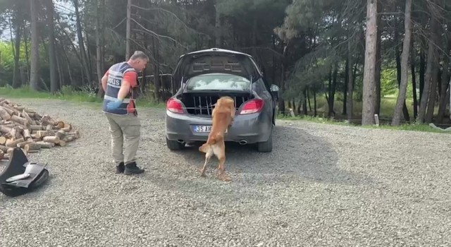 Narkotik dedektör köpeği araca zulalanmış uyuşturucu buldu: 12 gözaltı