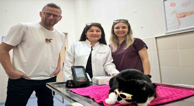 OMÜ Hayvan Hastanesinde düşük doz lazer tedavi hizmeti