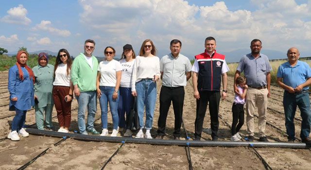 Osmaniye'de Yerli Yerinde Biberiye Projesi Başladı