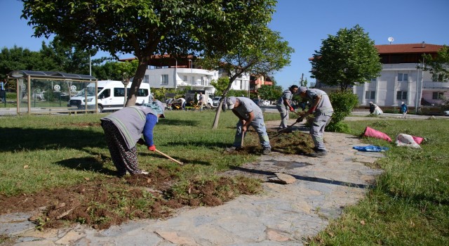 Pamukkalede bahar bakımı yapılıyor