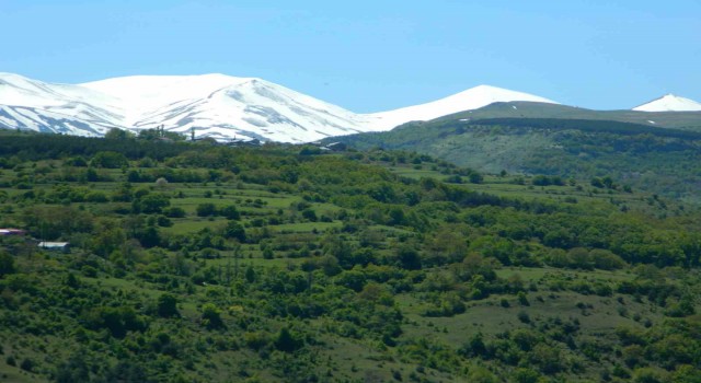 Posofta bahar görsel şölene dönüştü