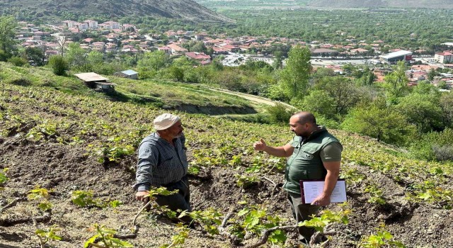 Sahayı adım adım dolaşıyorlar