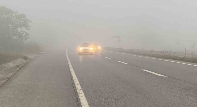 Sakarya güne sisle uyandı: Görüş mesafesi 20 metreye kadar düştü