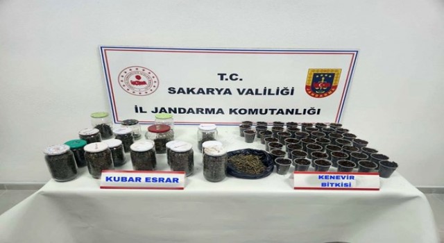 Sakaryada uyuşturucu ve kaçakçılık operasyonları: 195 şüpheli yakalandı, 4ü tutuklandı