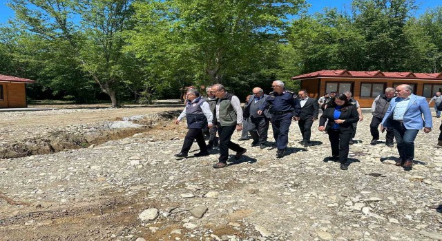 Sinop Millet Ormanı Projesinin yüzde 60ı tamam