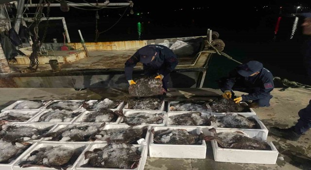 Sinopta 2 milyon lira değerinde kaçak kalkan balığı ele geçirildi
