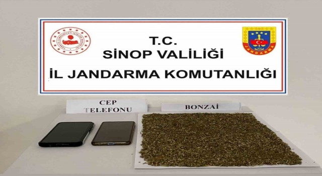 Sinopta 80 gram bonzai ele geçirildi