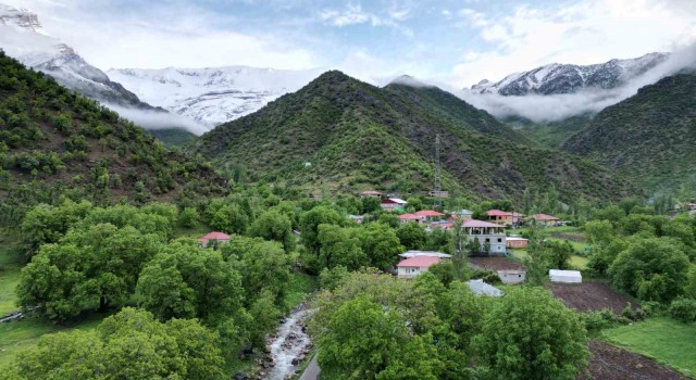 Şırnak dağları beyaza büründü