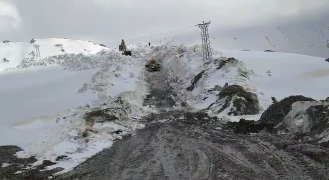Şırnakta mayıs ayında 10 metrelik karda yol açma çalışmaları sürüyor