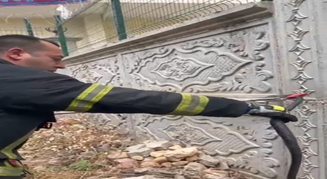 Site bahçesine giren yılan itfaiye ekiplerince yakalandı