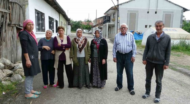 Sokak köpekleri mahalleliyi canından bezdirdi