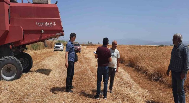 Sökede dane kaybının önlenmesi için kontroller devam ediyor