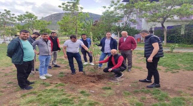 Somada yaşayan Ordulular hayatını kaybeden madenciler anısına fidan dikti