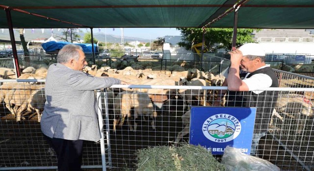 Talasta kurban pazarına başvurular başladı