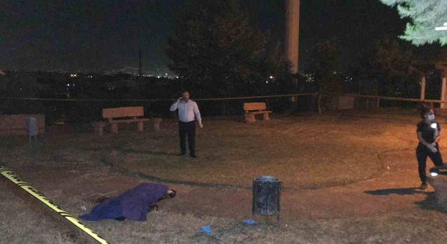 Tanımadığı genci parkta öldüren sanık: Niye bakıyorsun lan diyerek bana küfür etti