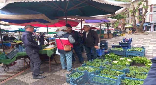 Tavşanlıda fide satışı yapan kişiler denetlendi