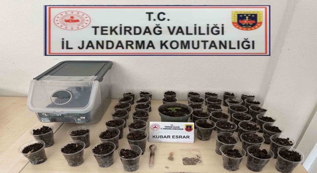 Tekirdağda uyuşturucu, silah ve tütün operasyonu