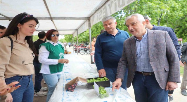 Turgutluda en güzel Dumanlı Papaz Eriği yarışması düzenlendi