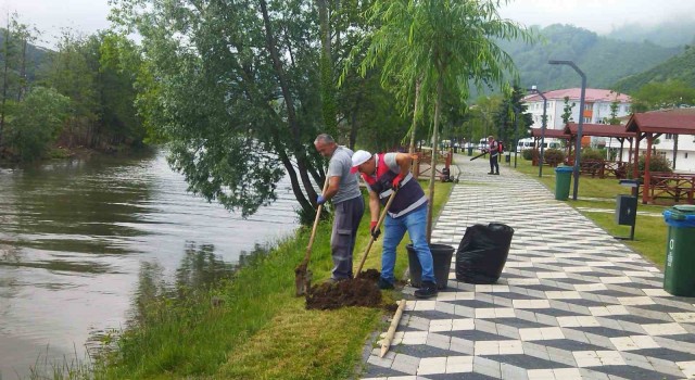 Turnasuyu Kordon Parkta yeşillendirme çalışmaları başlatıldı