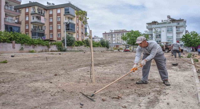Ünsala yeşil bahçe