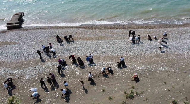 Üreme öncesi carettaların yuva yaptığı sahili öğrenciler temizledi