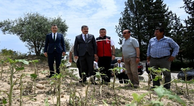 Vali Yılmaz, şiddetli yağmur nedeniyle zarar gören tarım arazilerinde inceleme yaptı