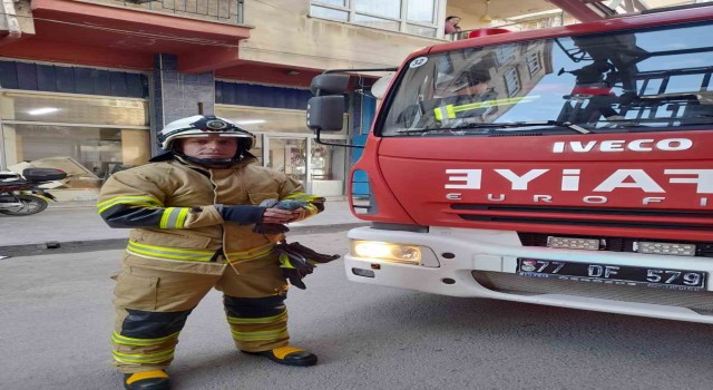 Yalovada pencere ile sineklik arasında mahsur kalan güvercin kurtarıldı