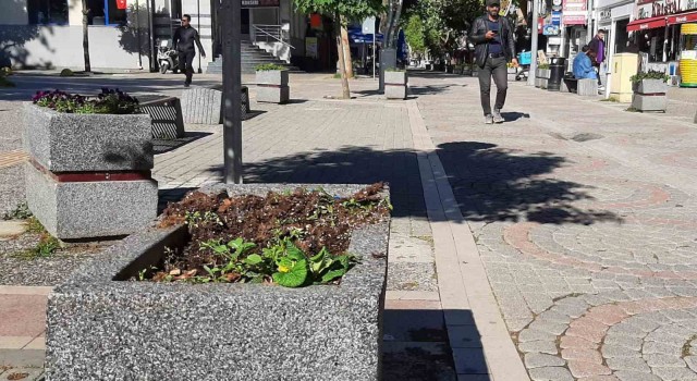 Yalovada Vandallar iş başında