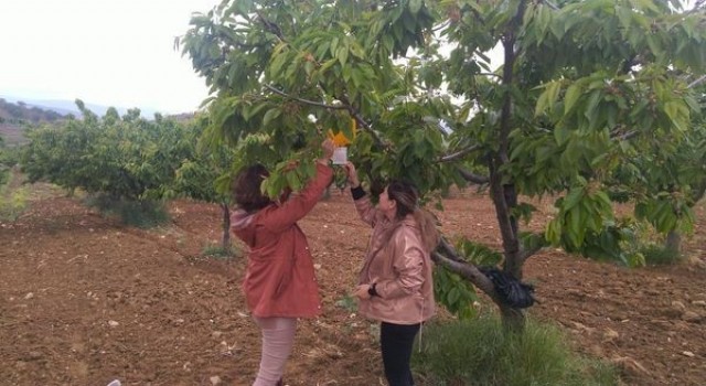 Yoldaş, üreticileri uyardı