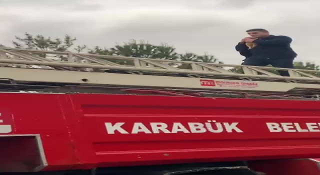 Yurt bahçesindeki ağaçta mahsur kalan kedi kurtarıldı