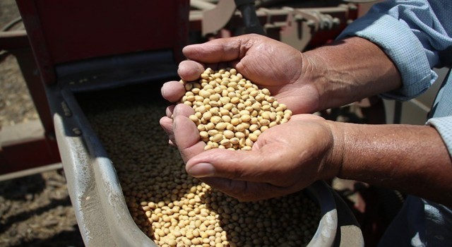 Adanada hasadın tamamlandığı arazilerde ikinci ürün çalışmaları başladı