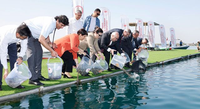 Adana'da Sazan Balıkları Seyhan Baraj Gölü'ne Bırakıldı