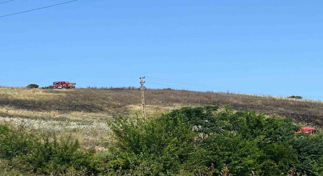 Arsuzda ot ve çalı yangını, ormanlık alana sıçramadan söndürüldü