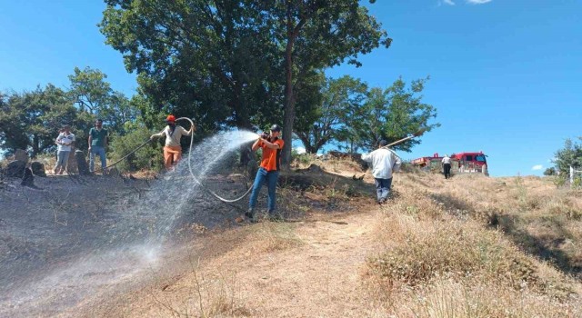 Bingölde kırsal alanda çıkan yangın ormana sıçramadan söndürüldü
