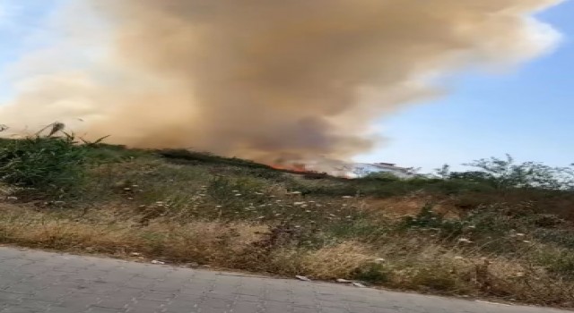 Boş arazide çıkan yangın korkuttu