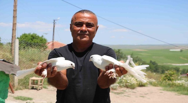 Bu kuşlara değer biçilemiyor