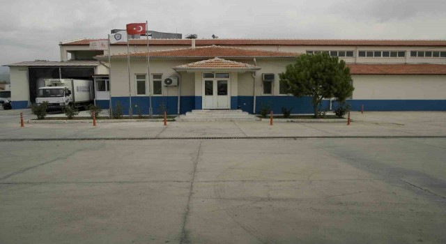 Büyükşehir Mezbahaları Kurban Bayramına hazır