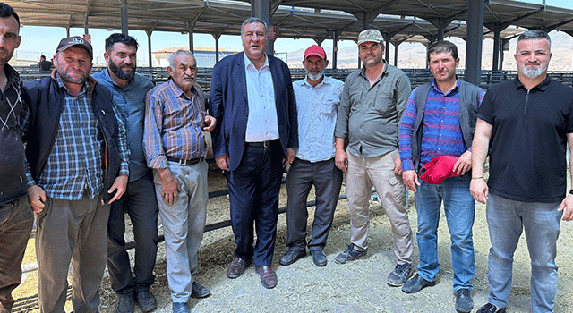 CHP Milletvekili Gürer Kurban Pazarını Gezdi: Besiciler İsyanda!