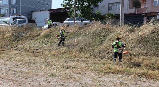 Darıcada yaz temizliği başladı