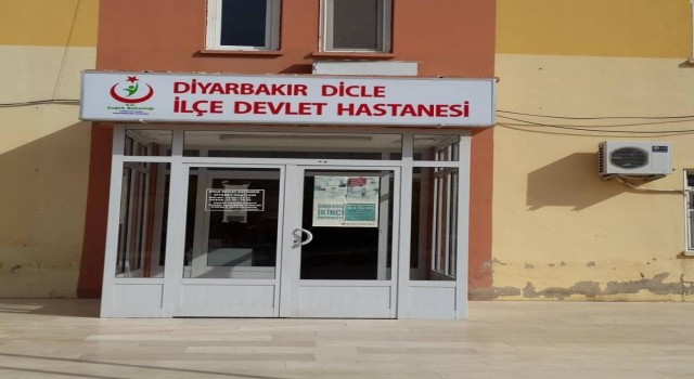 Diyarbakırda başıboş köpek tarafından ısırılan kadın yaralandı